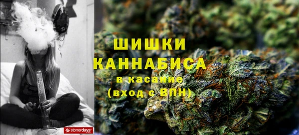 гидра Коряжма