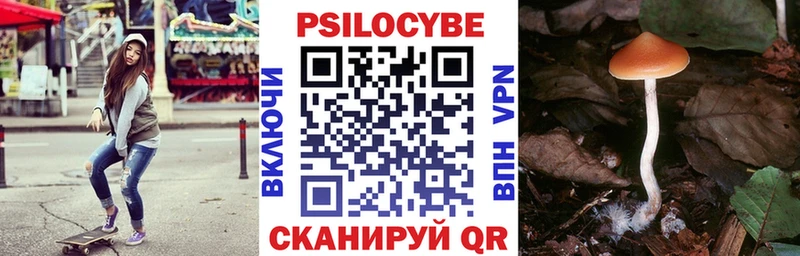 hydra зеркало  Лагань  Псилоцибиновые грибы Magic Shrooms 